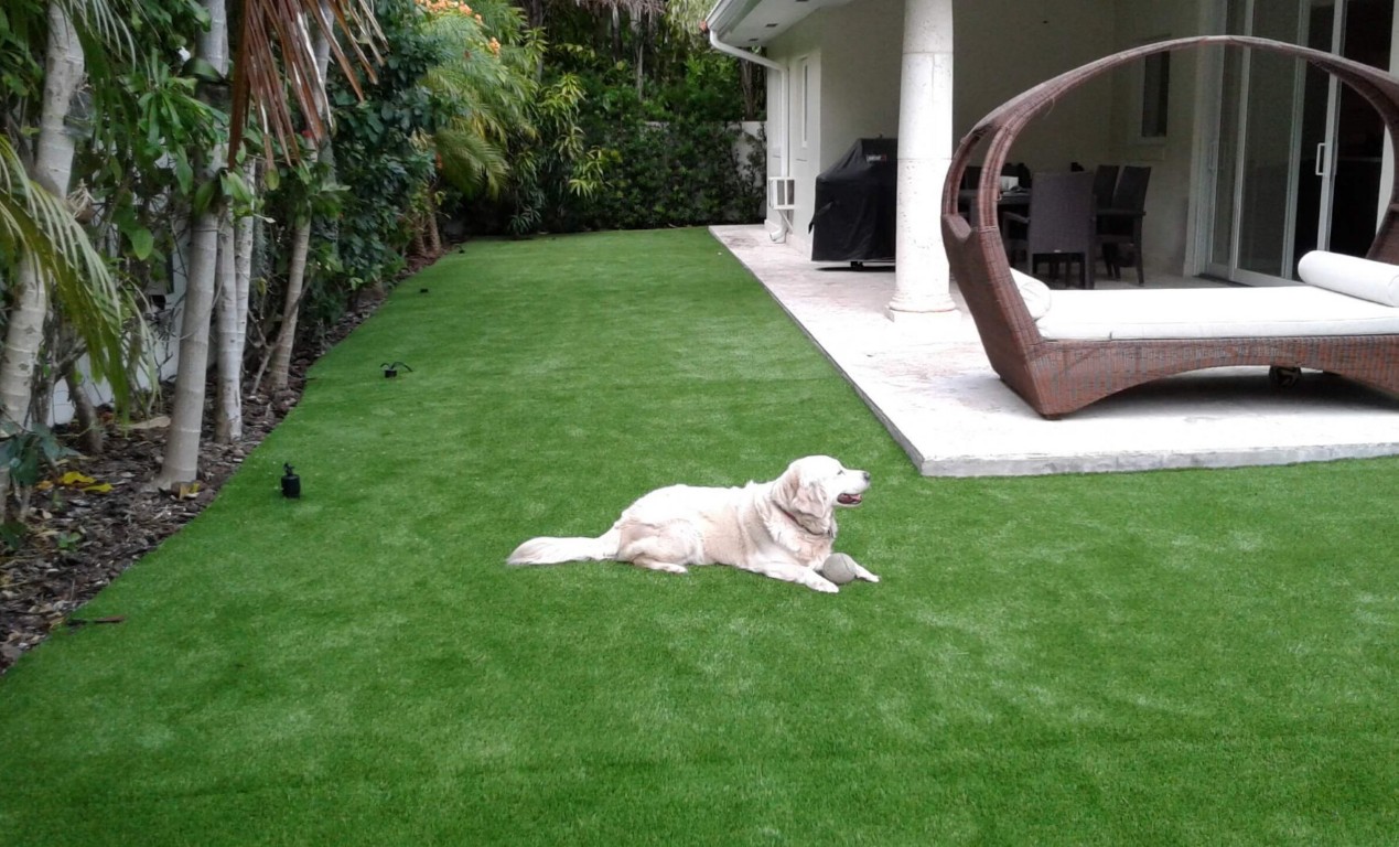 Pet-safe artificial turf with advanced drainage for dogs in Rogers, AR